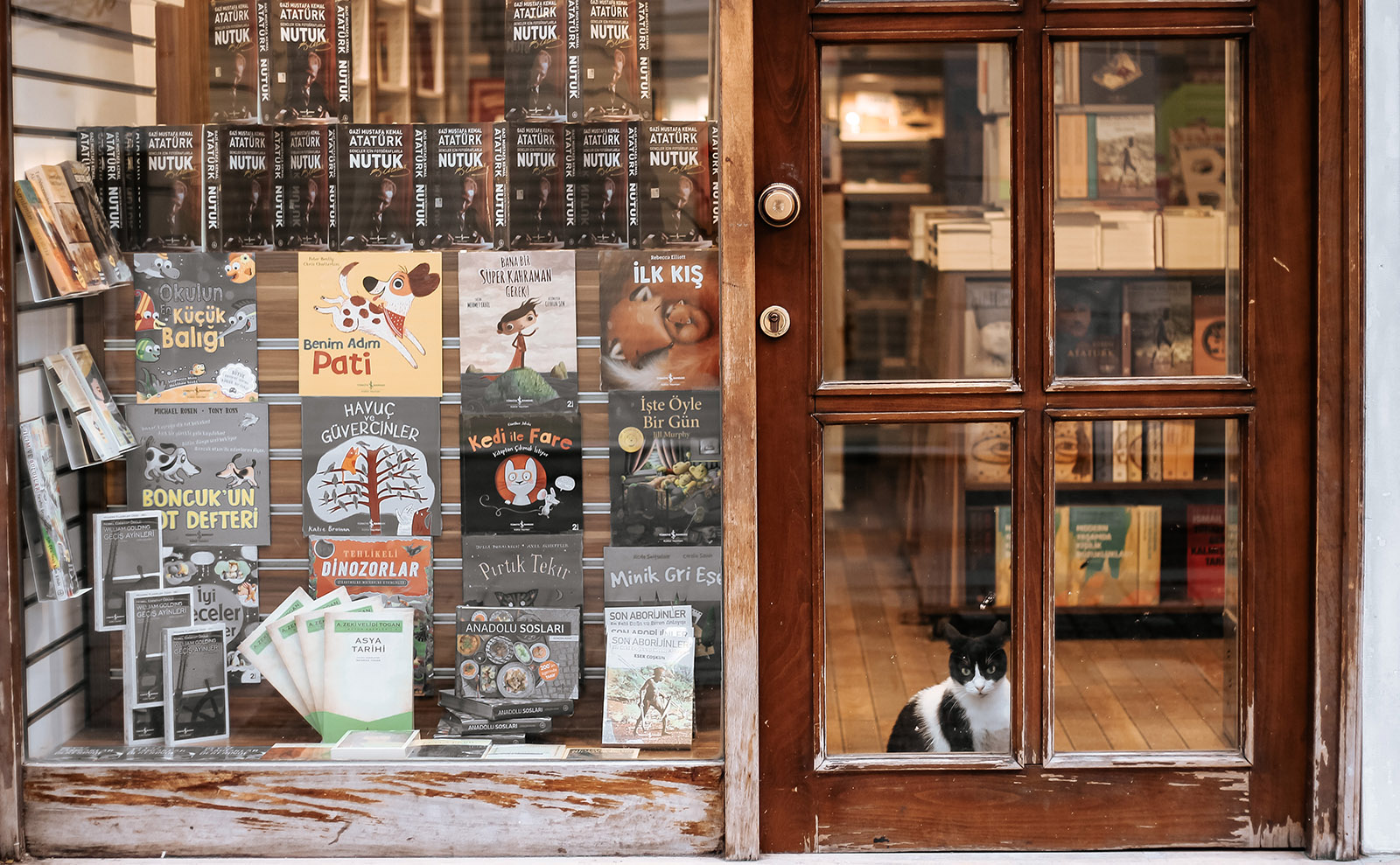 the window of a bookshop with children's books on display and a white cat sittin in the doorway